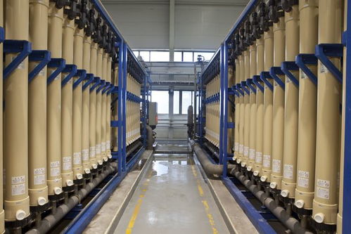 北京亦莊 綠色工廠數量領跑全市，技術開發驅動產業升級